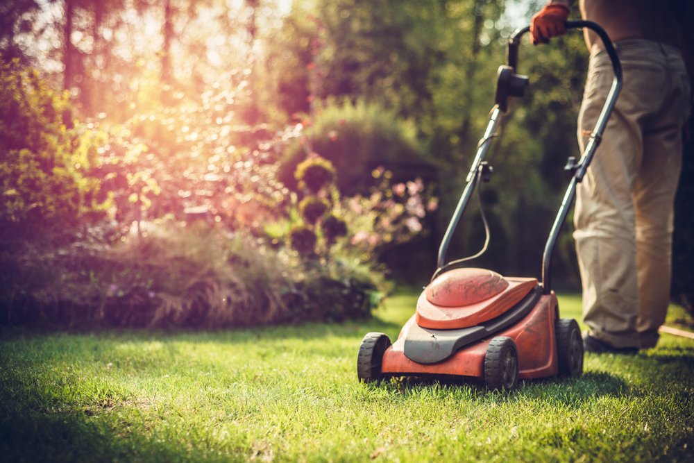 Outdoor Mowing and Gardening Takes a Toll on Allergies