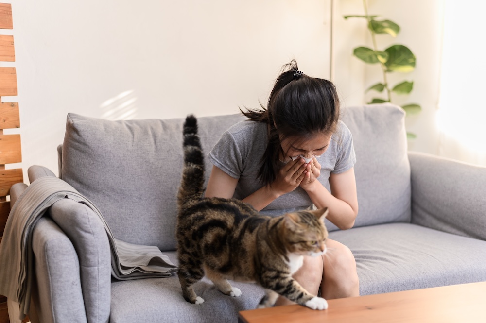 Atlanta pet allergy signs and symptoms.