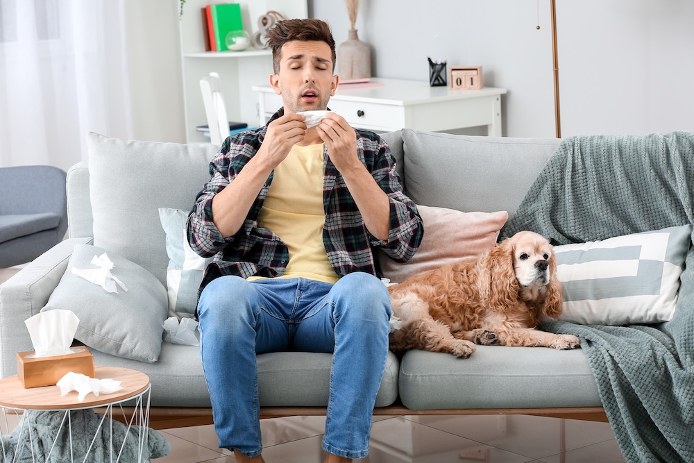 Atlanta pet allergy treatment.